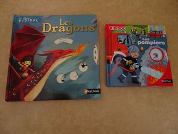 Lot de 2 livres KIDIDOC de chez Nathan: Pompiers et Dragons