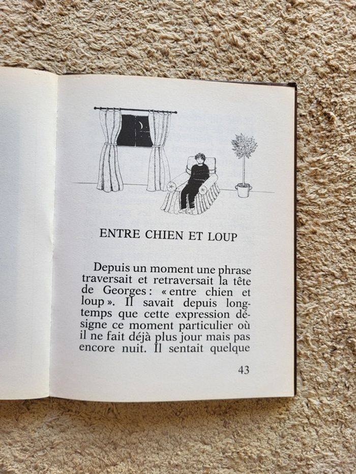 Livre enfant Les grimaces de la nuit d'Emmanuel Baudry - photo numéro 9