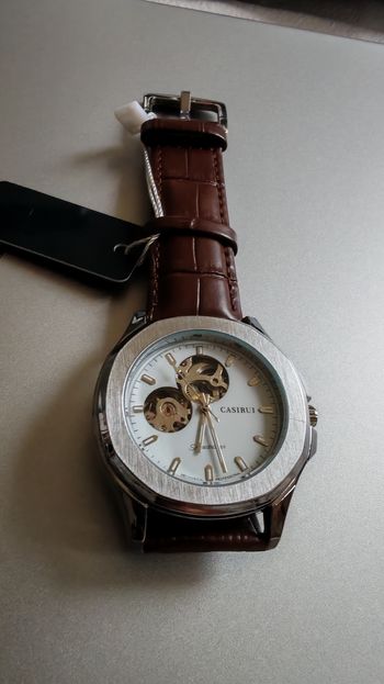 Montre automatique 2029