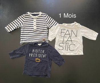 Lot 3 tee-shirts manches longues 1 mois