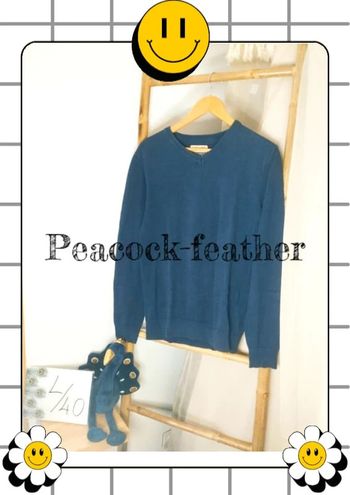 Pull bleu petrol industries&co L homme