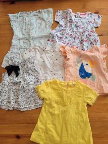 Tee shirt lot