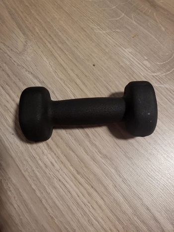 Accessoire de poids 1.5 kg sport