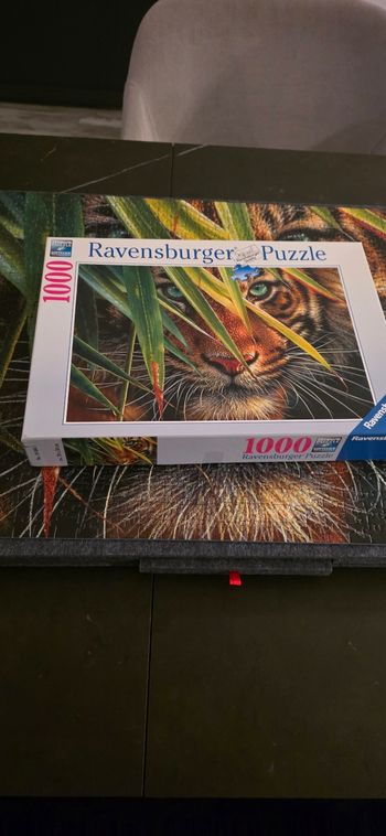 Puzzle 1000 pièces ravensburger