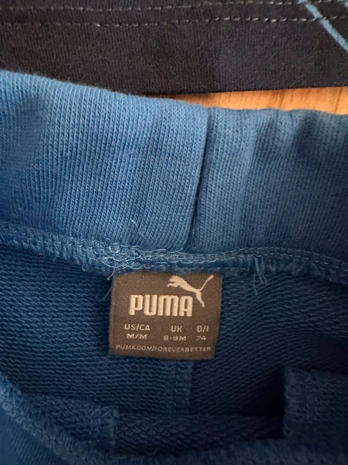 Ensemble puma - photo numéro 3
