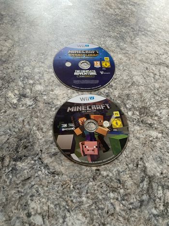 Minecraft wii U