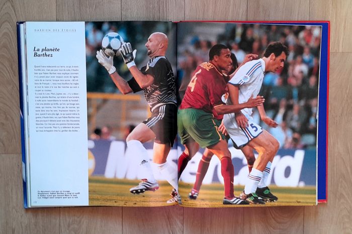 Championnat d'Europe des nations 2000 - merci les champions - Dominique Grimault - photo numéro 10