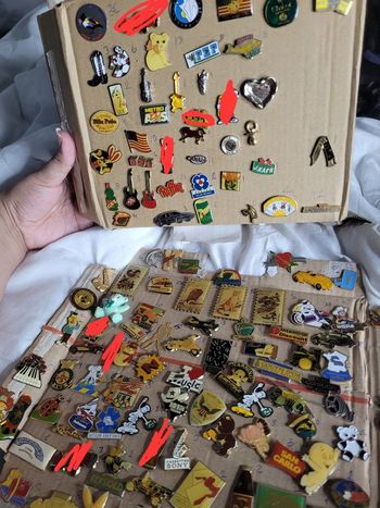 Pin's