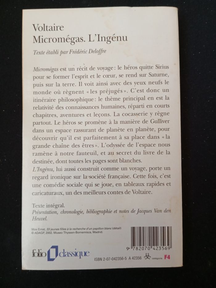 Voltaire - photo numéro 2