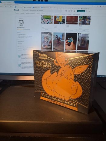 Pokemon - ETB - Destinées Radieuses