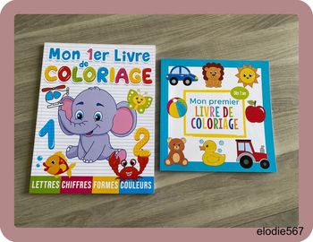 2 livres de coloriage neufs