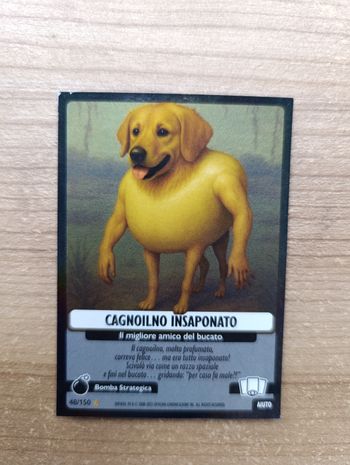 Cagnoilno insaponato 