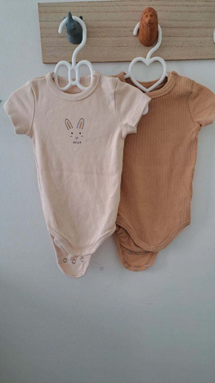 Lot de 2 bodies manche courte 6 mois