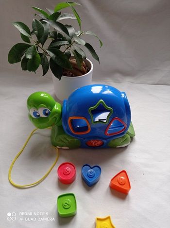 Jeu d'encastrement. Tortue des formes
