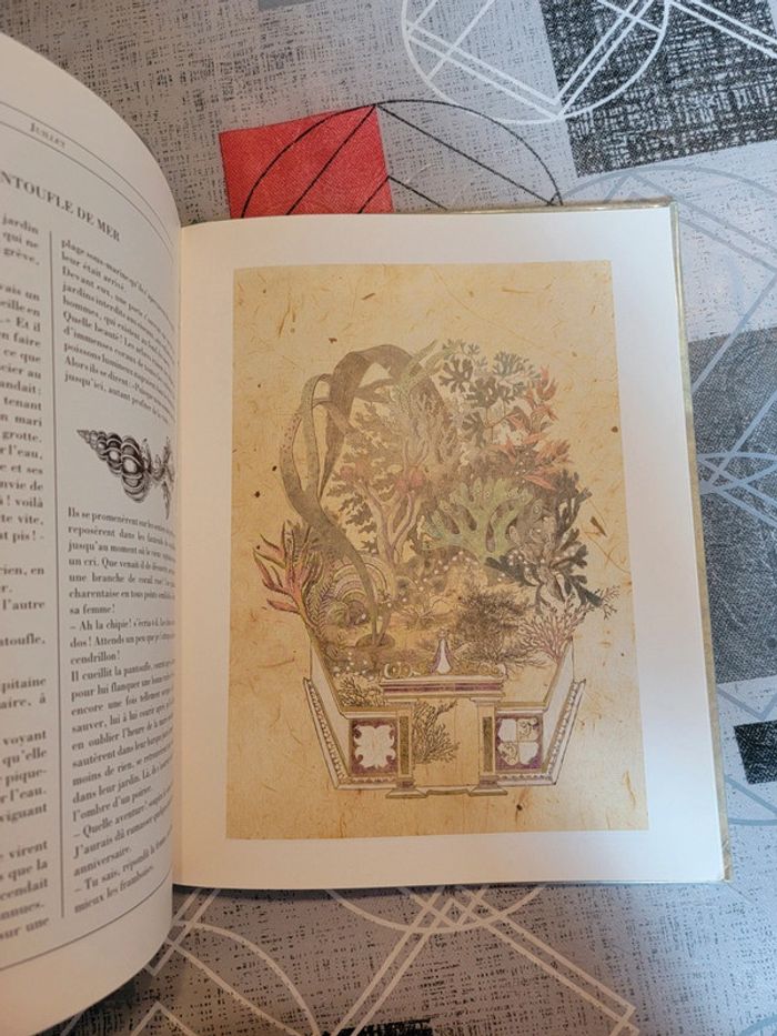 Le petit navigateur illustré - photo numéro 7