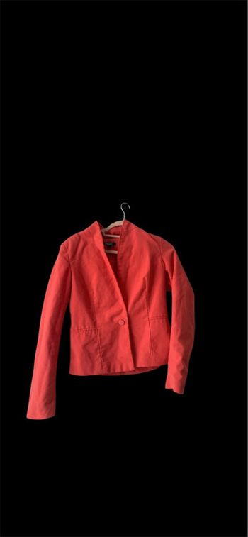 Blazer rose