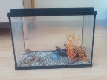 Aquarium super 👍👍👍