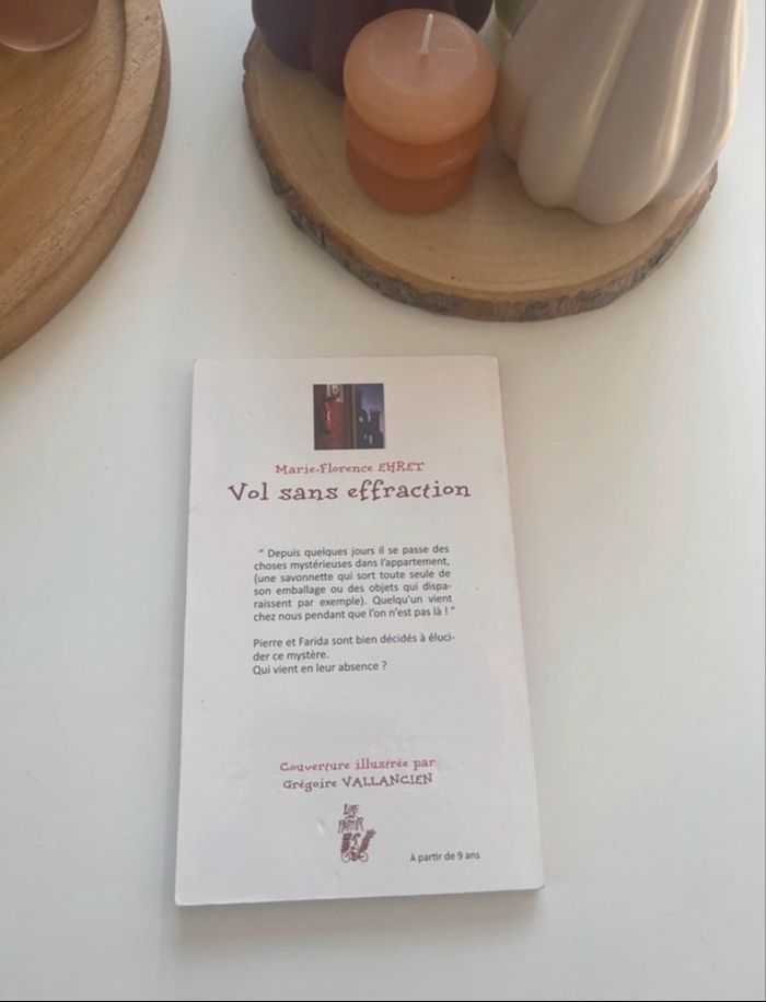 Vol sans effraction de Marie-Florence Ehret - photo numéro 2