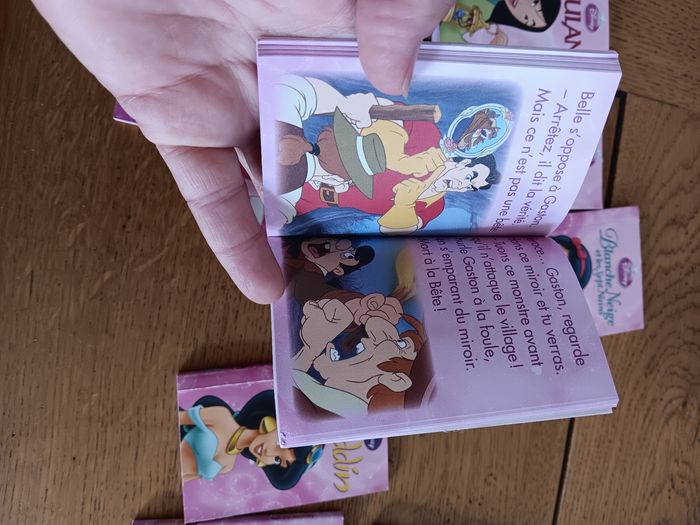 Ma bibliothèque de princesses Disney - photo numéro 6