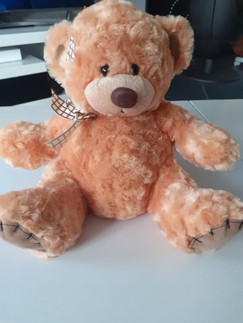 Ours en peluche