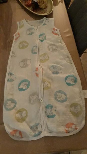 Gigoteuse fine TOG 1 Disney baby
