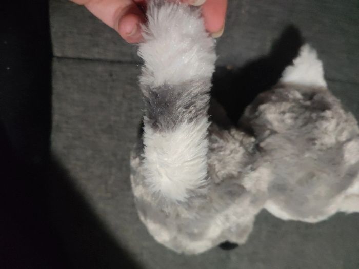 Peluche - photo numéro 2