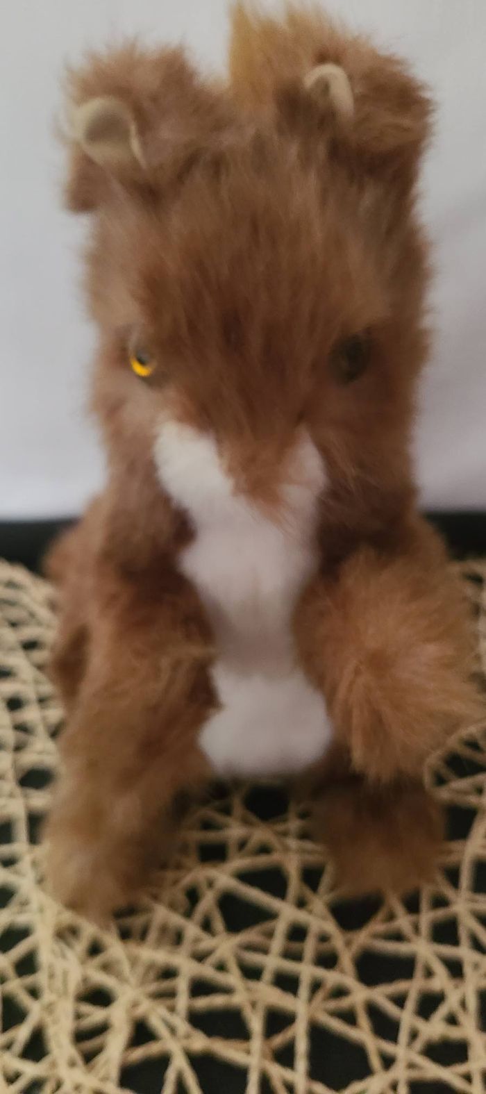 ECUREUIL ANIMA ANCIEN VINTAGE - Anima - photo numéro 4