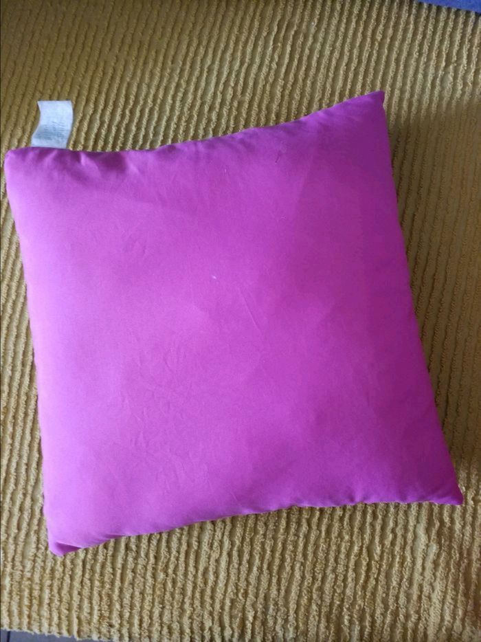 Coussin Disney déhoussable très bon état - photo numéro 2