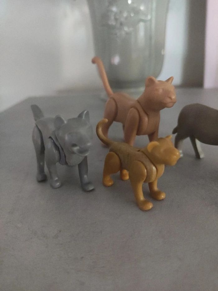 Playmobil Puma, phacochère et loup - photo numéro 7