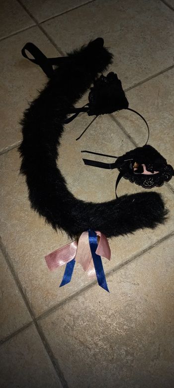 Colsplay chat déguisement