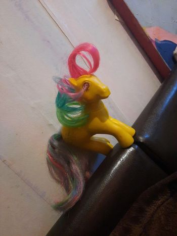 Mon petit poney