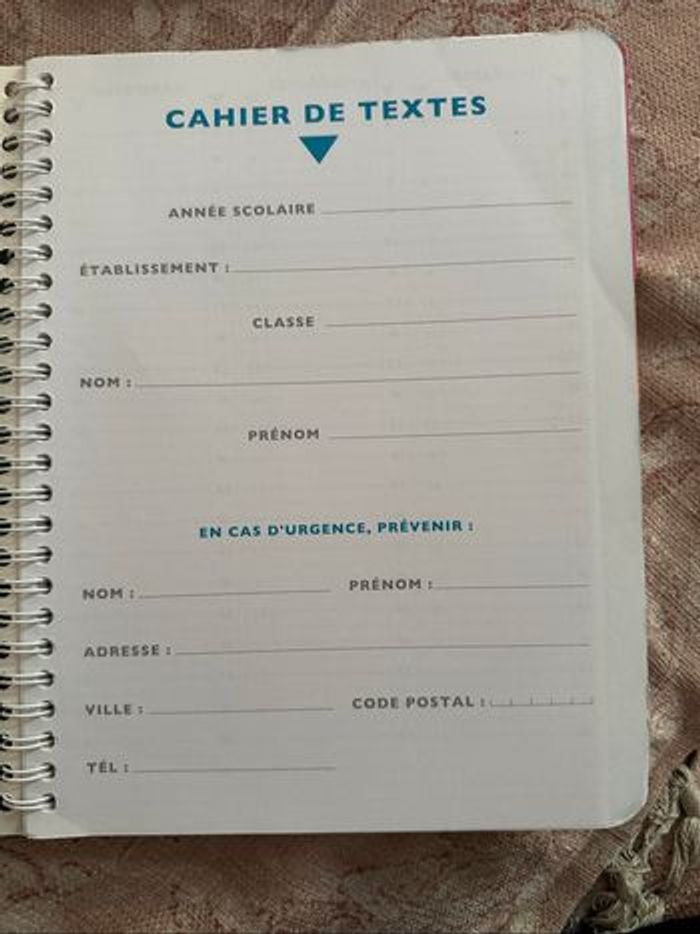 Cahier de texte lapins crétins