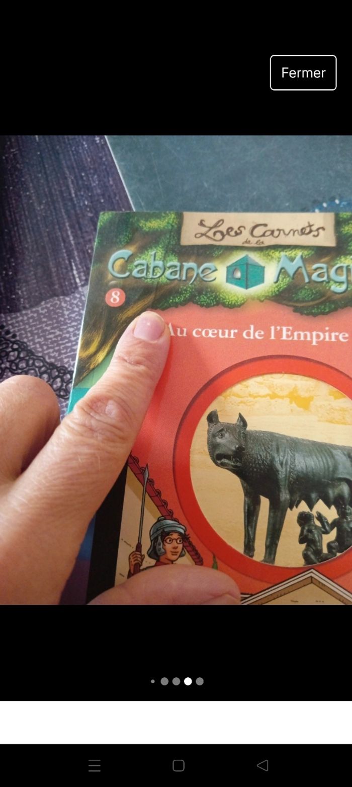 Les carnets de la cabane magique 8 - photo numéro 5