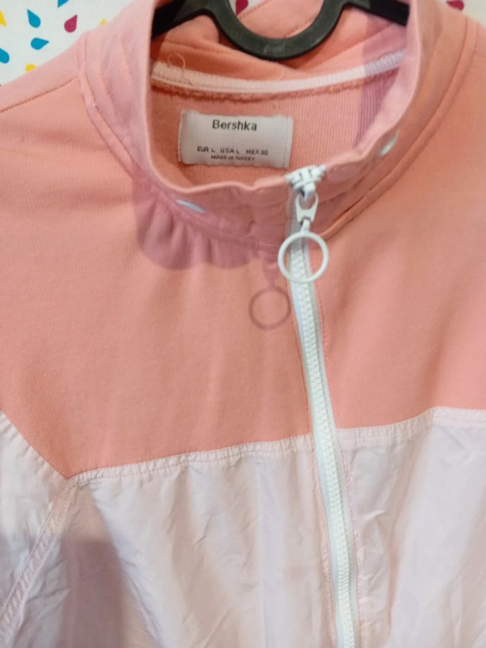 Coupe vent - photo numéro 2