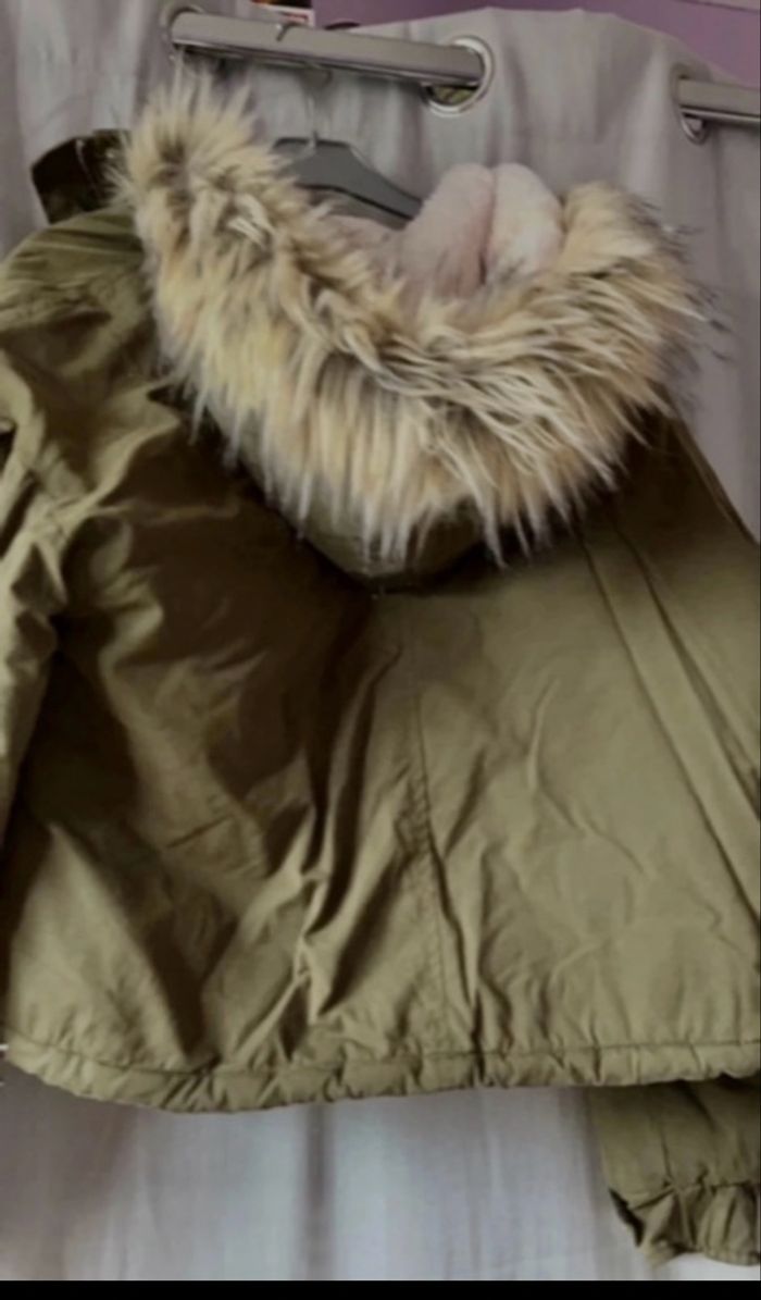 Manteau - photo numéro 6