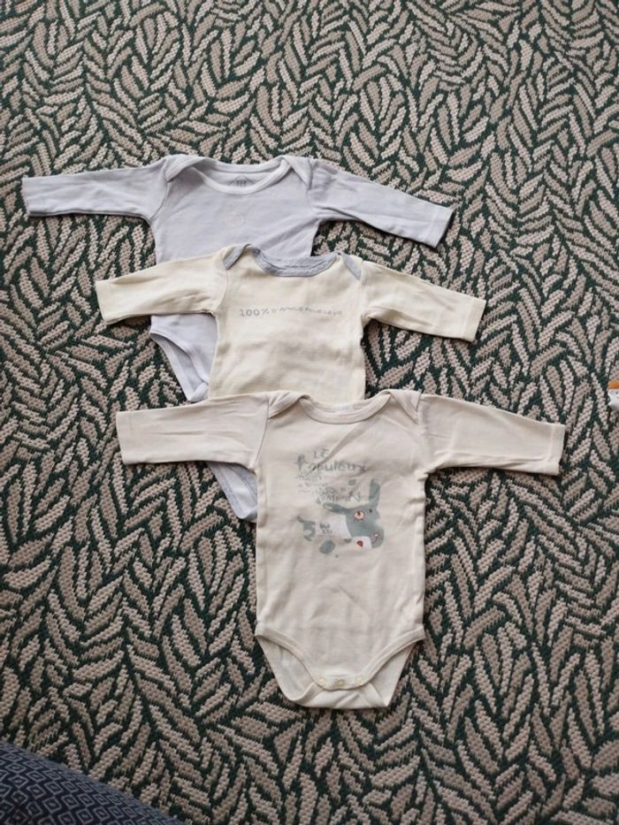 Lot 3 bodies 3m