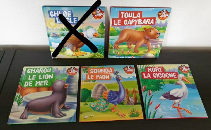 Lot de 4 livres "Mes animaux du zoo" collection RBA