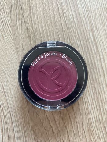 Blush Yves Rochers teinte 05