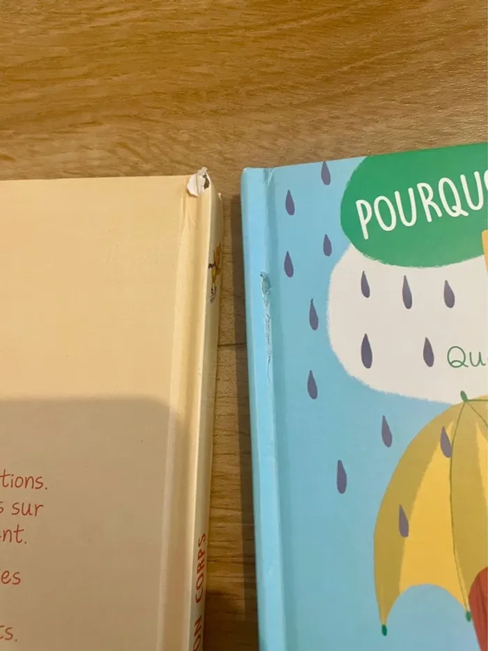Pourquoi ? - photo numéro 4