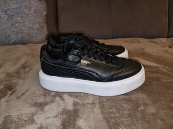 Basket puma