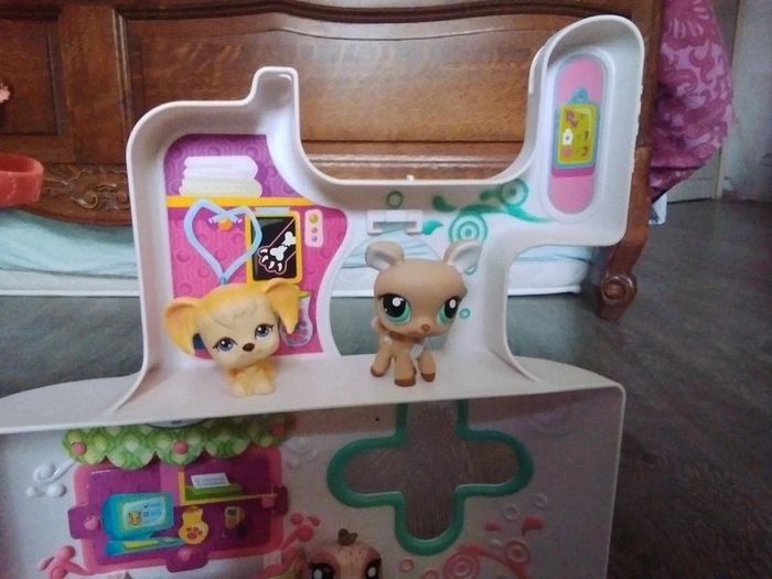 Lot pet shop et une maison - photo numéro 5