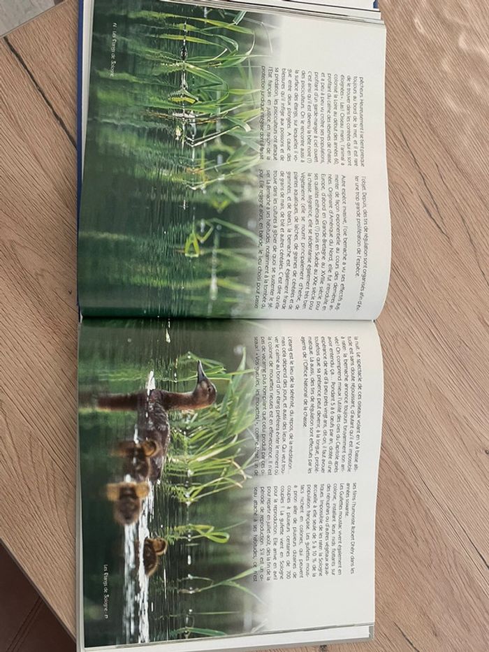 Livre - photo numéro 6