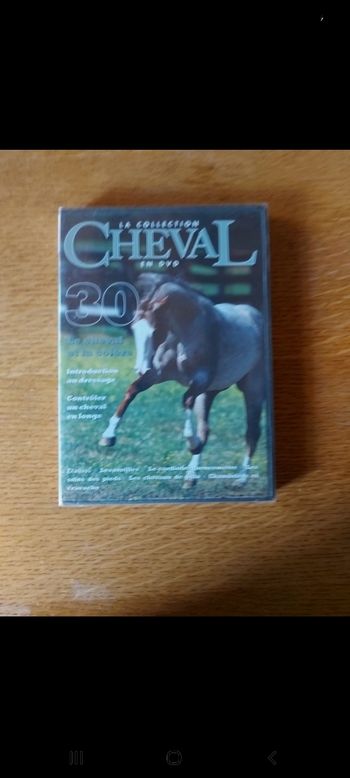 DVD