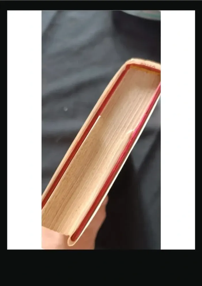 Livre la ville qui avait peur d une enfant - photo numéro 3