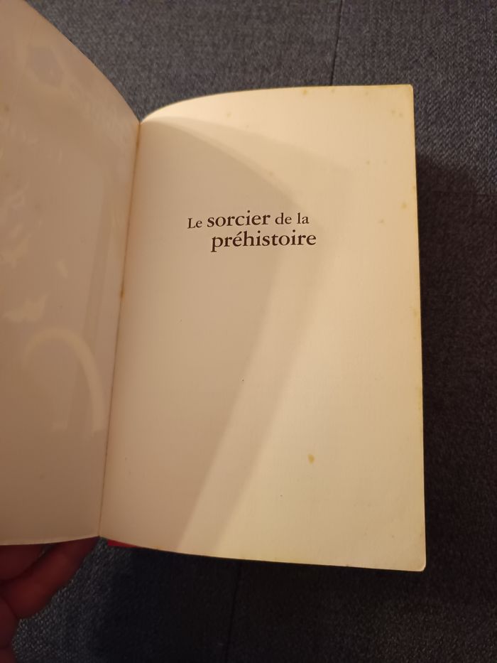 Le sorcier de la préhistoire (La Cabane Magique) - photo numéro 2