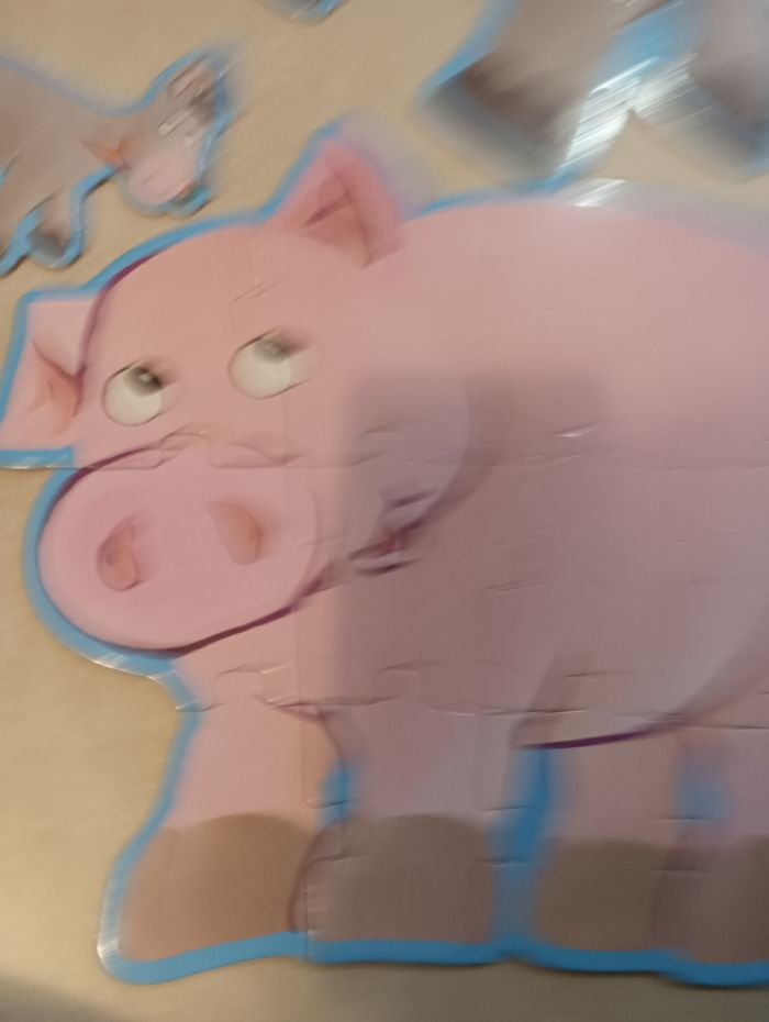 6 puzzles géant de Djeco - photo numéro 3