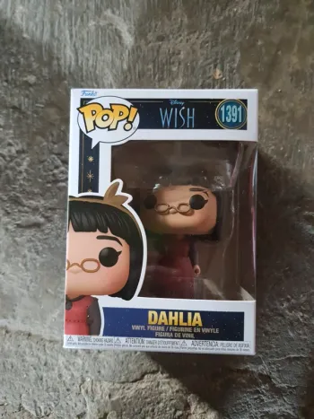 Pop dahlia