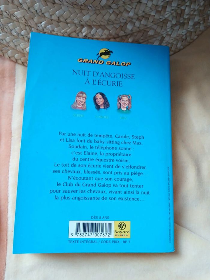 Nuit d'angoisse à l'écurie - photo numéro 2