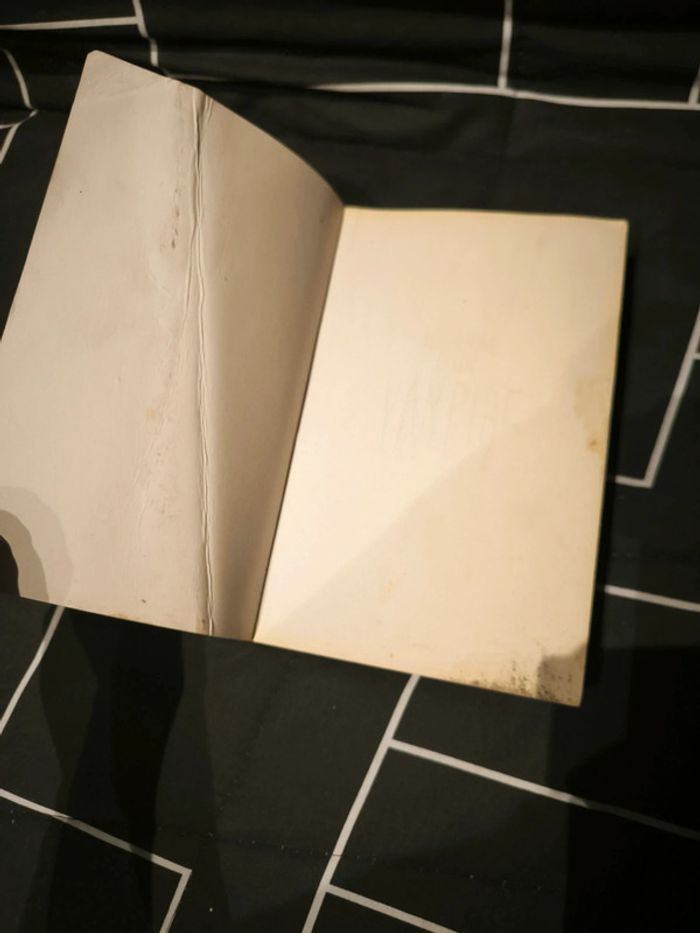 Livre journal d'un vampire 1 et 2 - photo numéro 3