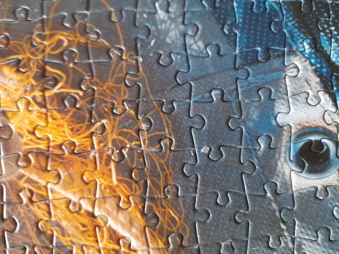 Puzzle 1000 pièces chat dans la paille - photo numéro 2